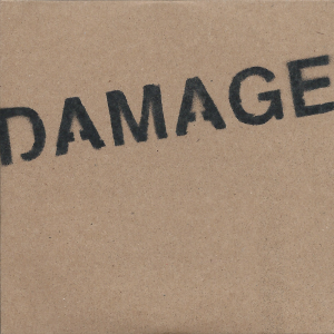 Damage - Cooper Temple Clause